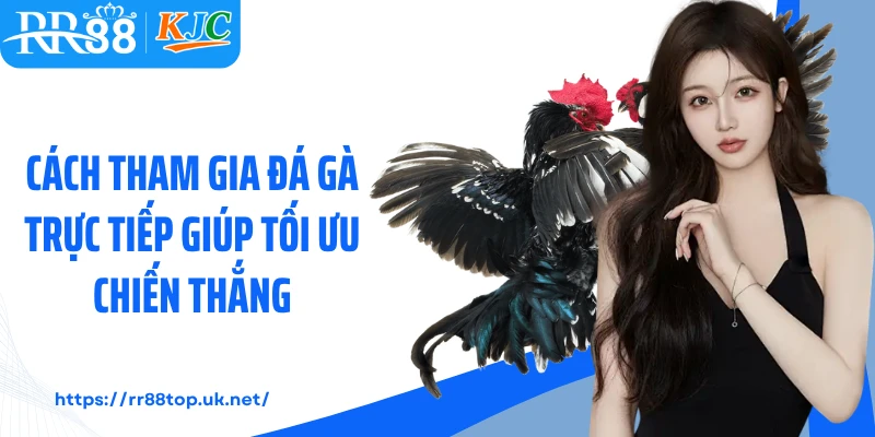 Cách tham gia đá gà trực tiếp giúp tối ưu chiến thắng