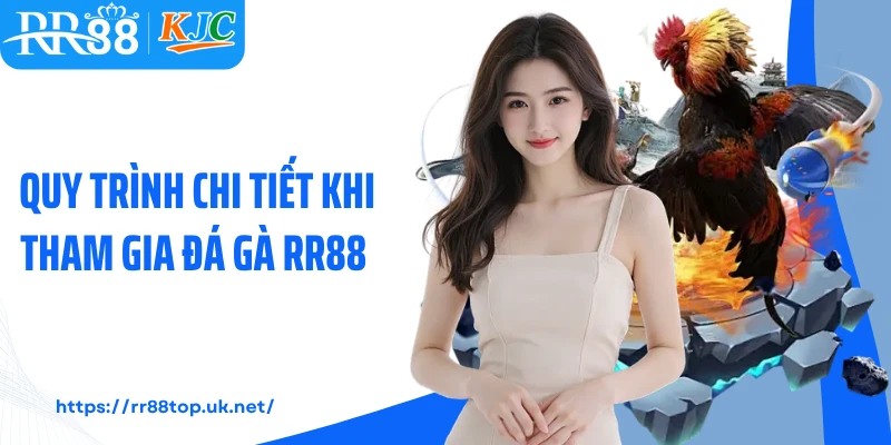 Quy trình chi tiết khi tham gia đá gà RR88 